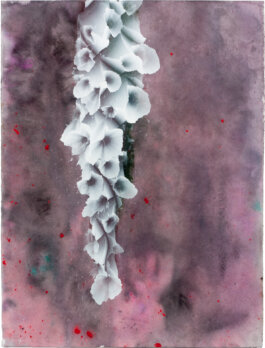 Galerie Born, zeitgenössische Kunst. Malerei, Zeichnung und Skulptur. 